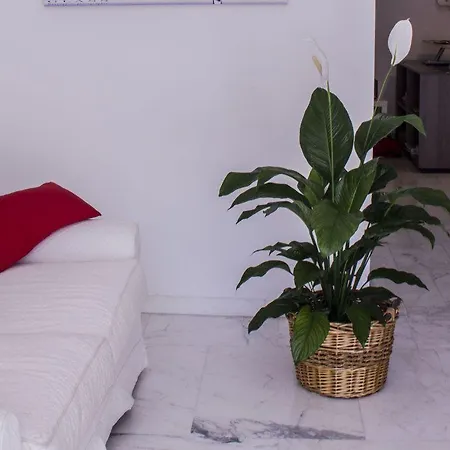 Domus Raffaello לינה וארוחת בוקר 4*